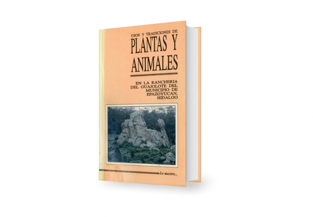Usos y tradiciones de plantas y animales